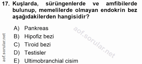 17. soru: Kuşlarda, sürüngenlerde amfibilerde bulunup, memelilerde olmayan endokrin bez aşağıdakilerden hangisidir? A) Pankreas…