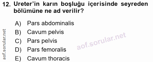 12. soru: Ureter'in karın boşluğu içerisinde seyreden bölümüne ne ad verilir? A) Pars abdominalis B) Cavum pelvis Pars pelvis D…