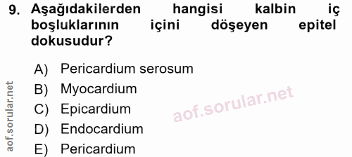 9. soru: Aşağıdakilerden hangisi kalbin iç boşluklarının içini döşeyen epitel dokusudur? A) Pericardium serosum B) Myocardium…