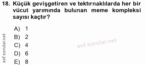 18. soru: Küçük gevişgetiren ve tektırnaklılarda her bir vücut yarımında bulunan meme kompleksi sayısı kaçtır? A) 1 B) 2 C) 4 D…
