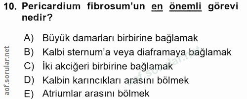 10. soru: Pericardium fibrosum'un en önemli görevi nedir? A) Büyük damarları birbirine bağlamak B) Kalbi sternum'a veya diafram…