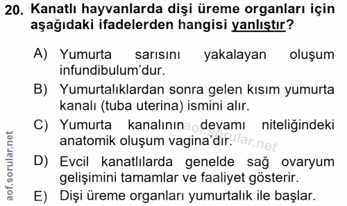 20. soru: Kanatlı hayvanlarda dişi üreme organları için aşağıdaki ifadelerden hangisi yanlıştır? A) Yumurta sarısını yakalayan…