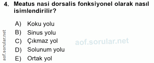 4. soru: Meatus nasi dorsalis fonksiyonel olarak nasıl isimlendirilir? A) Koku yolu B) Sinus yolu C) Çıkmaz yol D) Solunum yol…