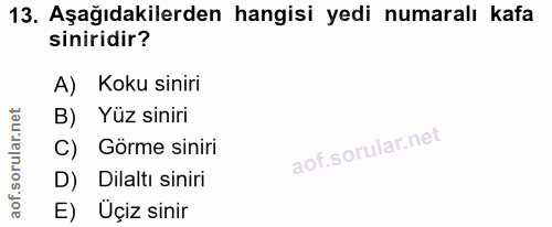 13. soru: Aşağıdakilerden hangisi yedi numaralı kafa siniridir? A) Koku siniri B) Yüz siniri C) Görme siniri D) Dilaltı siniri…