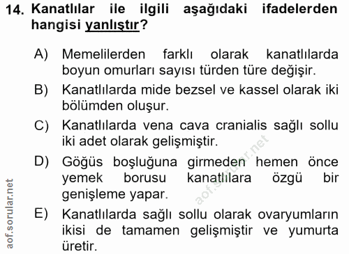 14. soru: Kanatlılar ile ilgili aşağıdaki ifadelerden hangisi yanlıştır? A) Memelilerden farklı olarak kanatlılarda boyun omurl…