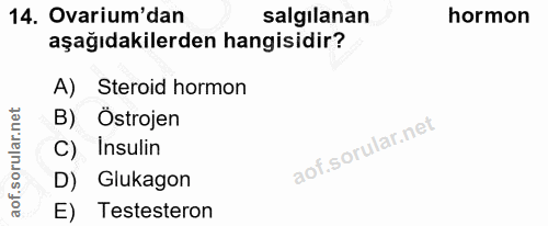14. soru: Ovarium'dan salgılanan hormon aşağıdakilerden hangisidir? A)Steroid hormon B) Östrojen C) Insulin D) Glukagon E) Test…