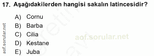 17. soru: Aşağıdakilerden hangisi sakalın latincesidir? A) Cornu B) Barba C) Cilia D) Kestane E) Juba