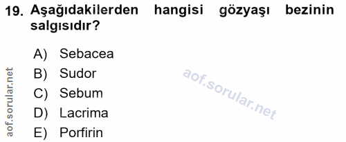 19. soru: Aşağıdakilerden hangisi gözyaşı bezinin salgısıdır? A) Sebacea B) Sudor C) Sebum D) Lacrima E) Porfirin