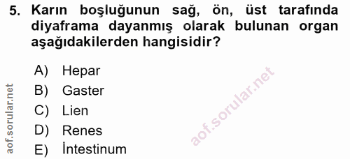 5. soru: Karın boşluğunun sağ, ön, üst tarafında diyaframa dayanmış olarak bulunan organ aşağıdakilerden hangisidir? A) Hepar…