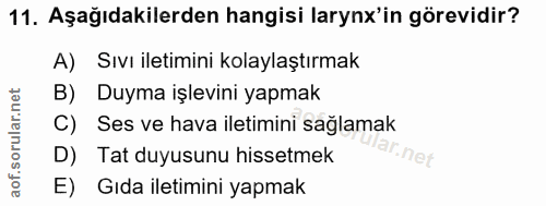 11. soru: Aşağıdakilerden hangisi larynx'in görevidir? A) Sıvı iletimini kolaylaştırmak B) Duyma işlevini yapmak C) Ses ve hava…