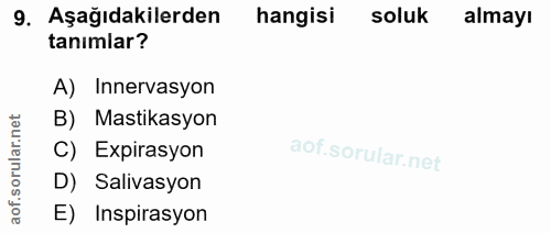 9. soru: Aşağıdakilerden hangisi soluk almayı tanımlar? A) Innervasyon B) Mastikasyon rular.n C) Expirasyon aof.s D) Salivasyo…