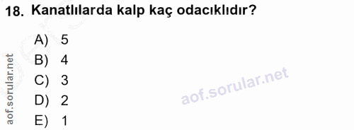 18. soru: Kanatlılarda kalp kaç odacıklıdır? A) 5 B) 4 C) 3 D) 2 E) 1