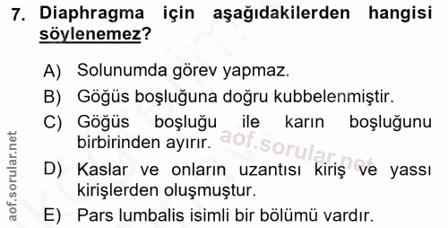 7. soru: Diaphragma için aşağıdakilerden hangisi söylenemez? A) Solunumda görev yapmaz. B) Gögüs boşluğuna doğru kubbelenmişti…