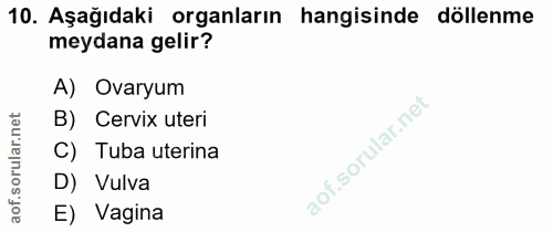 10. soru: Aşağıdaki organların hangisinde döllenme meydana gelir? A) Ovaryum net B) Cervix uteri ar. C) Tuba uterina D) Vulva a…