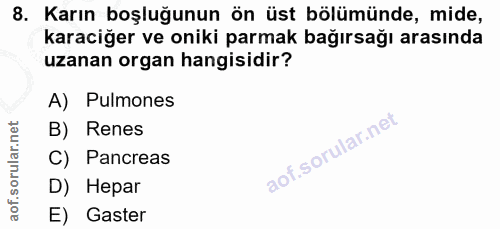 8. soru: Karın boşluğunun ön üst bölümünde, mide, karaciğer ve oniki parmak bağırsağı arasında uzanan organ hangisidir? A) Pul…