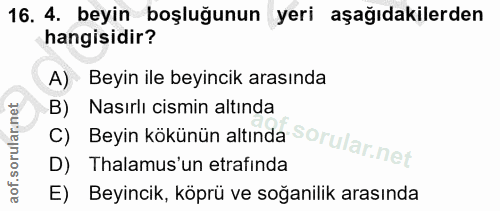 16. soru: 4. beyin boşluğunun yeri aşağıdakilerden hangisidir? A) Beyin ile beyincik arasında Nasırlı cismin altında C) Beyin k…