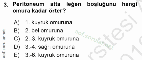 3. soru: Peritoneum atta leğen boşluğunu hangi omura kadar örter? A) 1. kuyruk omuruna 2. bel omuruna C) 2.-3. kuyruk omuruna…