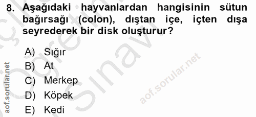 8. soru: Aşağıdaki hayvanlardan hangisinin sütun bağırsağı (colon), dıştan içe, içten dışa seyrederek bir disk oluşturur? A) S…