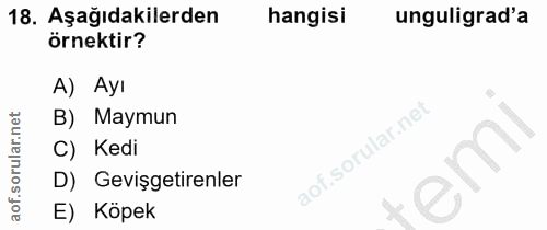 18. soru: Aşağıdakilerden hangisi unguligrad'a örnektir? A) Ayı B) Maymun Kedi D) Gevişgetirenler E) Köpek
