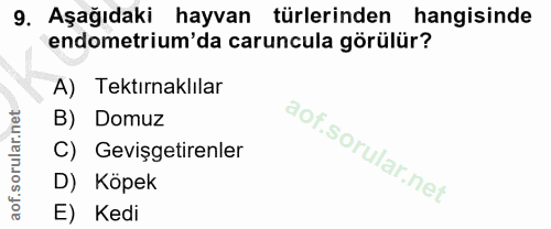 9. soru: Aşağıdaki hayvan türlerinden hangisinde endometrium'da caruncula görülür? A) Tektırnaklılar B) Domuz C) Gevişgetirenl…