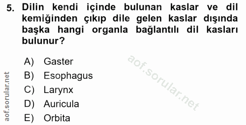5. soru: Dilin kendi içinde bulunan kaslar ve dil kemiğinden çıkıp dile gelen kaslar dışında başka hangi organla bağlantılı di…