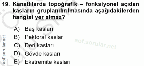 19. soru: Kanatlılarda topoğrafik - fonksiyonel açıdan kasların gruplandırılmasında aşağıdakilerden hangisi yer almaz? A) Baş k…