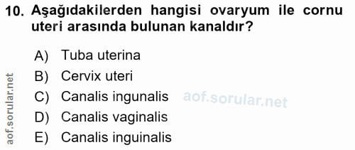 10. soru: Aşağıdakilerden hangisi ovaryum ile cornu uteri arasında bulunan kanaldır? A) Tuba uterina B) Cervix uteri C) Canalis…