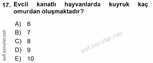 17. soru: Evcil kanatlı hayvanlarda kuyruk kaç omurdan oluşmaktadır? A) 6 B) 7 C) 8 D) 9 E) 10