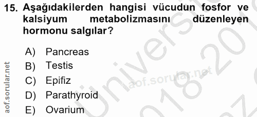 15. soru: Aşağıdakilerden hangisi vücudun fosfor ve kalsiyum metabolizmasını düzenleyen hormonu salgılar? A) Pancreas B) Testis…
