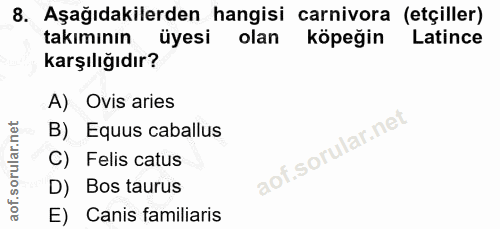 8. soru: Aşağıdakilerden hangisi carnivora (etçiller) takımının üyesi olan köpeğin Latince karşılığıdır? A) Ovis aries B) Equu…