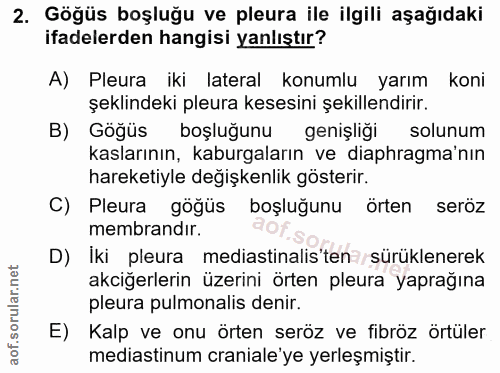 2. soru: Göğüs boşluğu ve pleura ile ilgili aşağıdaki ifadelerden hangisi yanlıştır? A) Pleura iki lateral konumlu yarım koni…