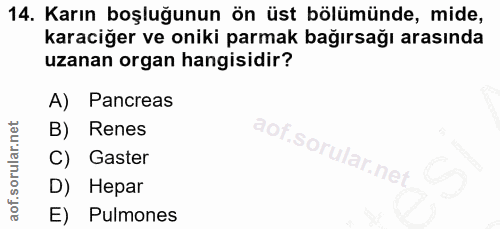 14. soru: Karın boşluğunun ön üst bölümünde, mide, karaciğer ve oniki parmak bağırsağı arasında uzanan organ hangisidir? A) Pan…