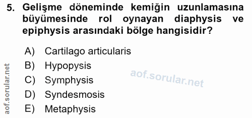 5. soru: Gelişme döneminde kemiğin uzunlamasına büyümesinde rol oynayan diaphysis ve epiphysis arasındaki bölge hangisidir? A)…
