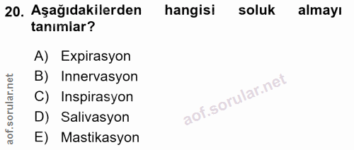 20. soru: Aşağıdakilerden hangisi soluk almayı tanımlar? A) Expirasyon rular.net B) Innervasyon C) Inspirasyon aof.s D) Salivas…