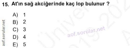 15. soru: At'ın sağ akciğerinde kaç lop bulunur ? A) 1 3 D) E) 5