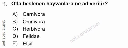1. soru: Otla beslenen hayvanlara ne ad verilir? A) Carnivora B) Omnivora C) Herbivora D) Felidae E) Etçil