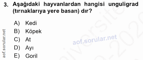 3. soru: Aşağıdaki hayvanlardan hangisi unguligrad (tırnaklarıya yere basan) dır? A) Kedi B) Köpek C) At Ayı E) Goril