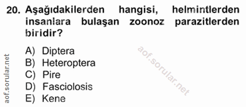 20. soru: Aşağıdakilerden hangisi, helmintlerden insanlara bulaşan zoonoz parazitlerden biridir? A) Diptera B) Heteroptera C) P…