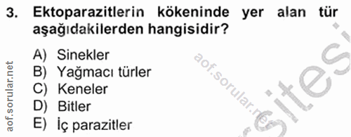 3. soru: Ektoparazitlerin kökeninde yer alan tür aşağıdakilerden hangisidir? A) Sinekler B) Yağmacı türler C) Keneler i.sorula…