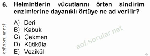6. soru: Helmintlerin vücutlarını örten sindirim enzimlerine dayanıklı örtüye ne ad verilir? A) Deri B) Kabuk C) Çekmen D) Küt…