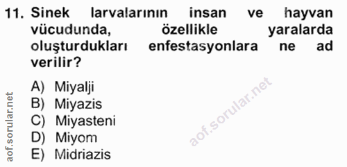 11. soru: Sinek larvalarının insan ve hayvan vücudunda, özellikle yaralarda oluşturdukları enfestasyonlara ne ad verilir? A) Mi…