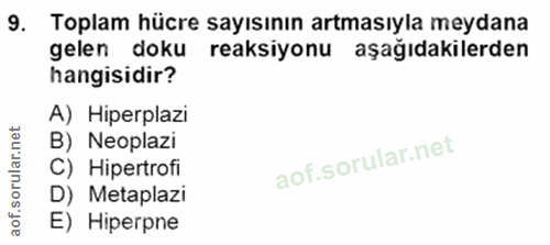9. soru: Toplam hücre sayısının artmasıyla meydana gelen doku reaksiyonu aşağıdakilerden hangisidir? A) Hiperplazi B) Neoplazi…