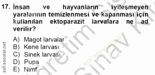 17. soru: Insan ve hayvanların iyileşmeyen yaralarının temizlenmesi ve kapanması için kullanılan ektoparazit larvalara ne ad ve…