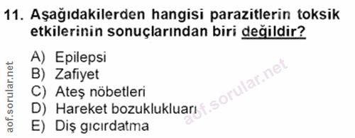 11. soru: Aşağıdakilerden hangisi parazitlerin toksik etkilerinin sonuçlarından biri değildir? A) Epilepsi D) Hareket bozuklukl…