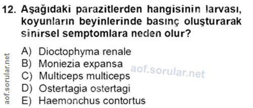 12. soru: Aşağıdaki parazitlerden hangisinin larvası, koyunların beyinlerinde basınç oluşturarak sinirsel semptomlara neden olu…