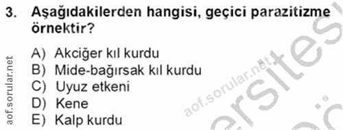 3. soru: Aşağıdakilerden hangisi, geçici parazitizme örnektir? A) Akciğer kıl kurdu B) Mide-bağırsak kıl kurdu soforen te: C)…
