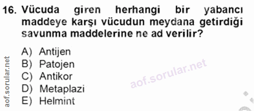 16. soru: Vücuda giren herhangi bir yabancı maddeye karşı vücudun meydana getirdiği savunma maddelerine ne ad verilir? A) Antij…