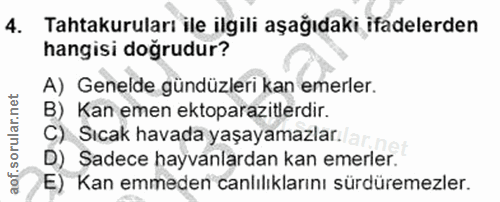 4. soru: Tahtakuruları ile ilgili aşağıdaki ifadelerden hangisi doğrudur? A) Genelde gündüzleri kan emerler. B) Kan emen ektop…