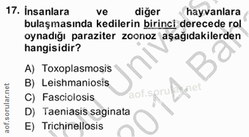17. soru: İnsanlara ve diğer hayvanlara bulaşmasında kedilerin birinci derecede rol oynadığı paraziter zoonoz aşağıdakilerden h…