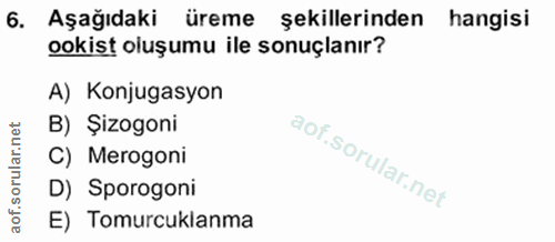 6. soru: Aşağıdaki üreme şekillerinden hangisi ookist oluşumu ile sonuçlanır? A) Konjugasyon B) Şizogoni C) Merogoni D) Sporog…